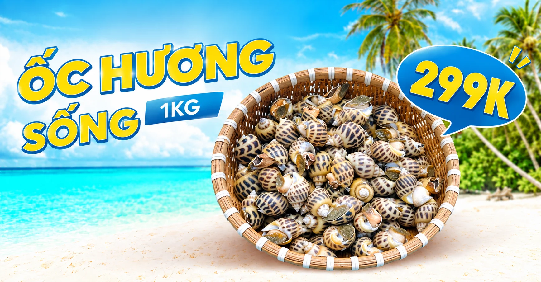Banner ốc hương sống